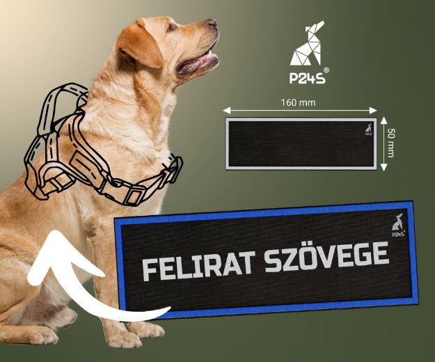 Kép P24S® tépőzáras egyedi felirat, nagy, 160x50 mm - Kék kerettel - 1 darab