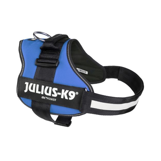 Kép Julius-K9® K-9® Powerhám  1/L - 1 pár Egyedi felirattal