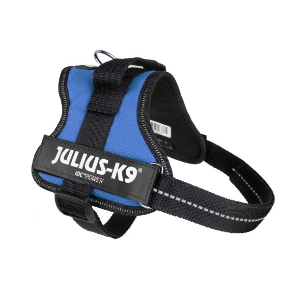 Kép Julius-K9® K-9® Powerhám  Mini/S - 1 pár Egyedi felirattal