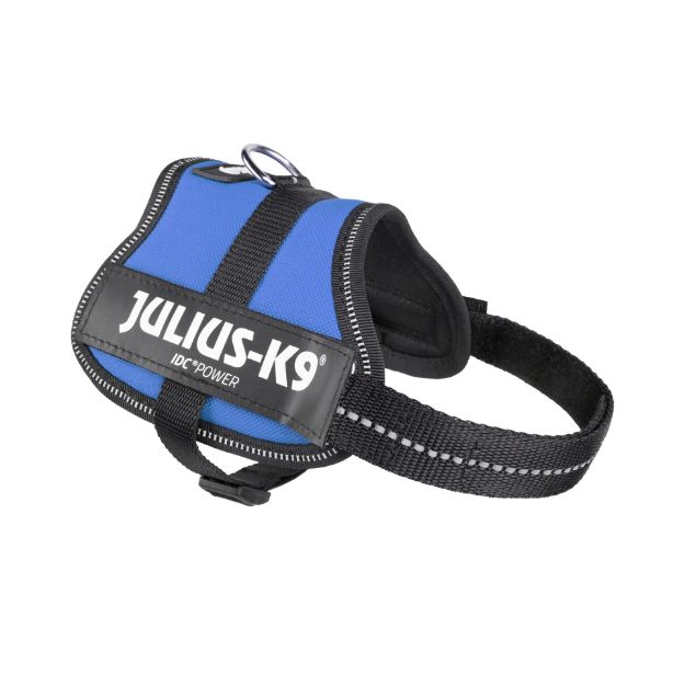 Kép Julius-K9® K-9® Powerhám  Baby2/2XS - 1 pár Egyedi felirattal