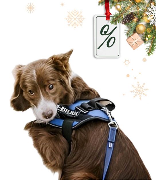 Kép P24S® Kívánságlogó Kutyahámra