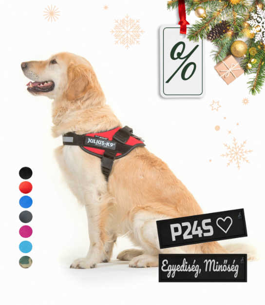 Kép Julius-K9® IDC® Powerhám