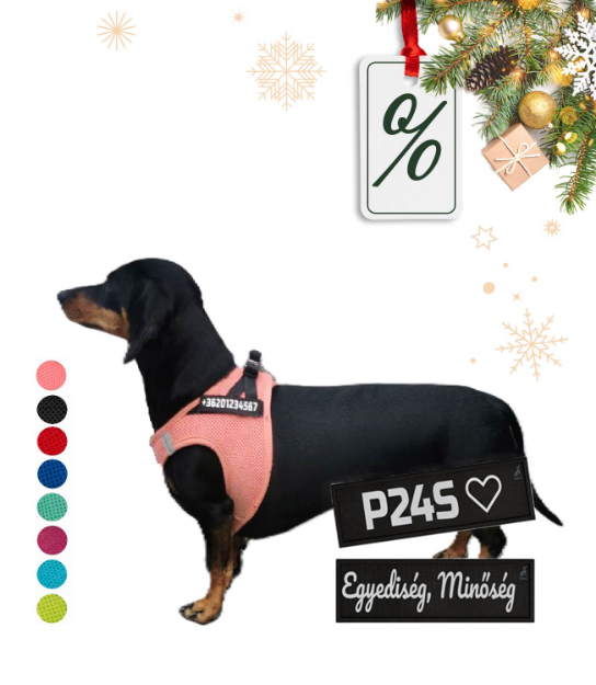 Kép P24S® SMART kutyahám