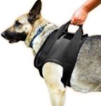 Kép Julius-K9 neoprén rehabilitációs hám - Mellső, M