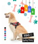 Kép Julius-K9® IDC® Powerhám