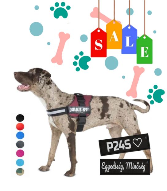 Kép Julius-K9® K9® Powerhám