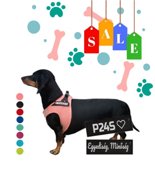 Kép P24S® SMART kutyahám