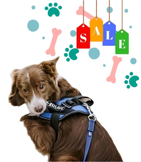 Kép P24S® Kívánságlogó Kutyahámra