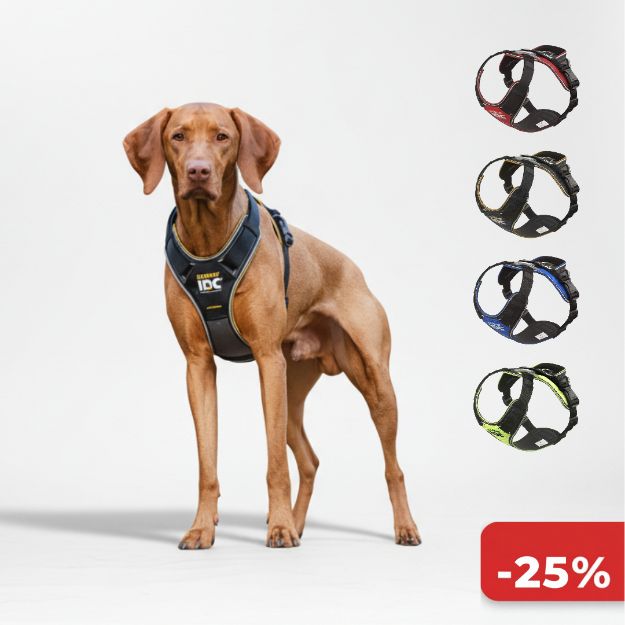 Kép Julius-K9® Longwalk Y-hám