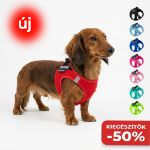 Kép P24S® SMART kutyahám