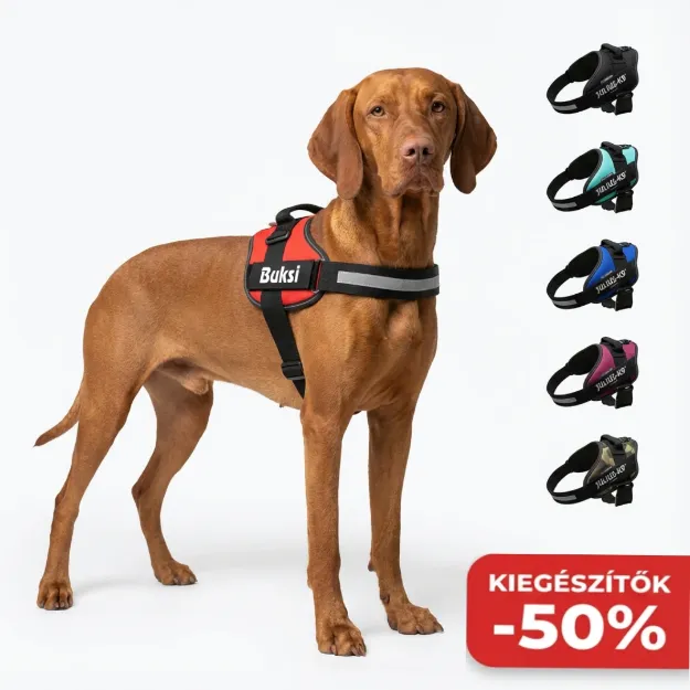 Julius-K9 IDC kutyaham