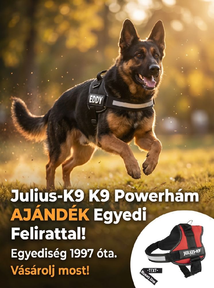 K9 Power kutyahám