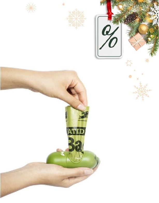 Kakizacsi tartó kutyasétáltatás