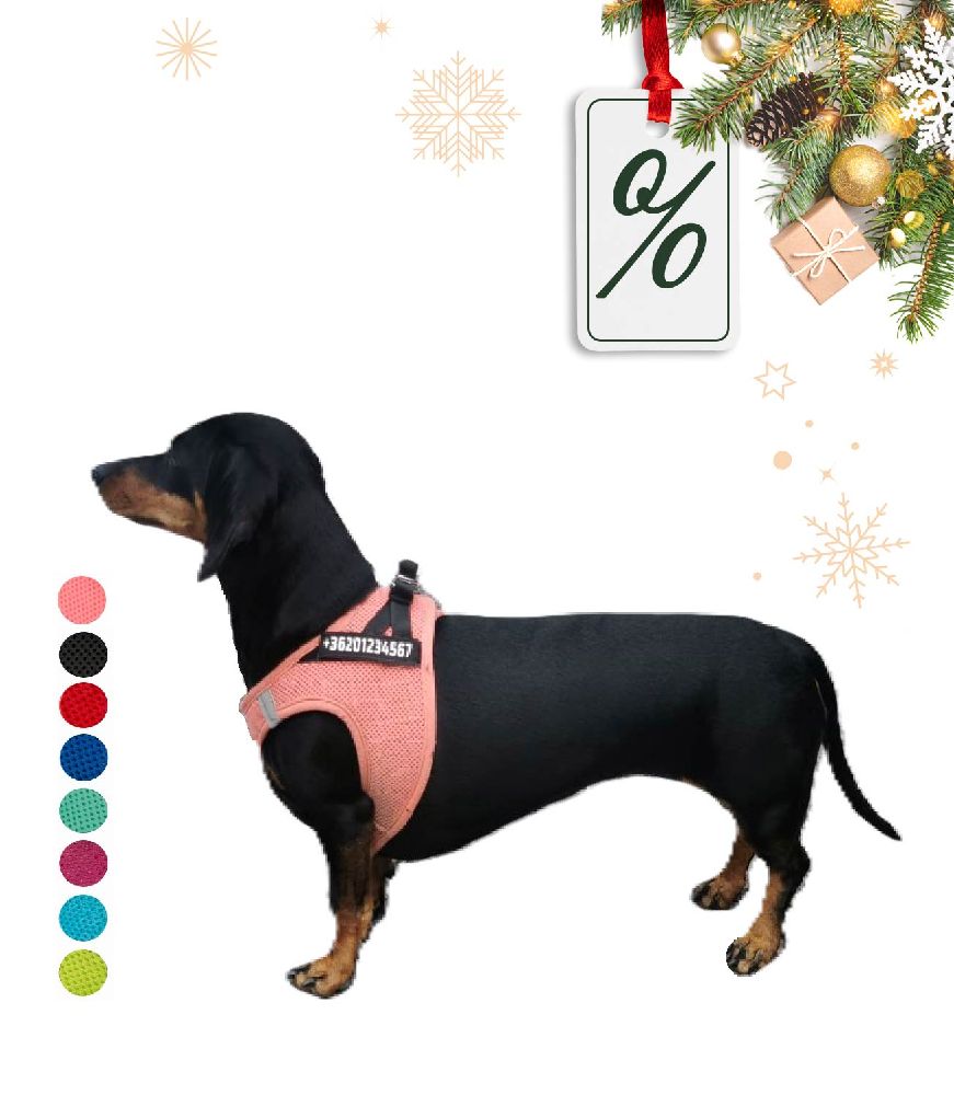 Kutyaregiszter kutyahám egyedi felirattal